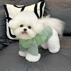 寵物毛衣 條紋保暖連帽衫, 1個, K字綠色,L（建議3.5-4.0公斤）
