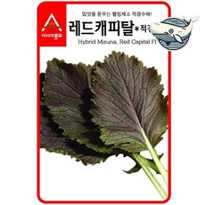 향긋한 적경수채 샐러드용 신선한 채소 3g kdy*00238Zq, 1개