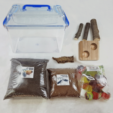 장수풍뎅이 성충 사육세트 관찰세트 산란세트, 05.[대형클린] 장수풍뎅이용 산란세트, 1개