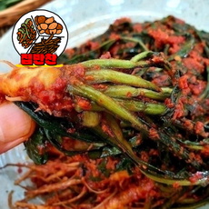 쌉싸름한 풍미와 깊은 감칠맛의 햇고들빼기 김치, 1박스, 500g
