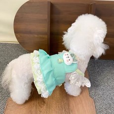 하니펫 강아지 귀여운 토끼 하네스, 1개, 민트