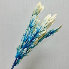 花藝夢*不凋玉竹葉 整把販售 單色 漸變玉竹葉 永生花 乾燥花 不凋花 現貨, 漸變藍