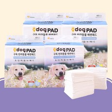구독 고흡수 강아지 배변패드 400매, 없음, 400개