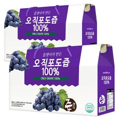 즙쟁이 포도즙 2박스 60포, 2.1L, 2개