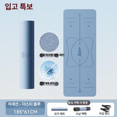 항균 요가 두꺼운 미끄럼방지 충격흡수 홈트 운동 매트, 1개, 더스티블루 185x61cm +가방, 6mm