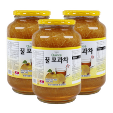 자연톡 고흥 꿀 모과차 모과청 과일 차 청, 1개, 3개입, 2kg