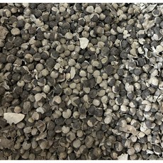 국산 토종 만형자 (순비기 씨앗) - 500 g, 2개, 500그램