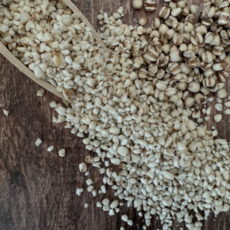 전남 함평 국내산 분쇄 율무스틱 불림없이 바로 밥 되는 초간편 잡곡, 20g x10ea