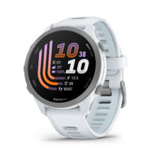 가민 포러너 170 러닝 GPS 스마트워치 화이트스톤(클라우드 블루 밴드) 43mm, 가민 포러너 170 러닝 GPS 스마트워치 화이트스톤(