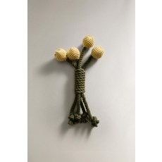 Zara 자라 반려동물용 튤립 부케 장난감 - 노랑 1373/149/300, 단일 사이즈