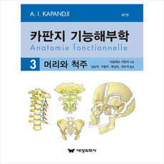 카판지 기능해부학 Volume 3 머리와 척추 (제7핀) + 미니수첩 증정, 대성의학사, 아달베르 카판지