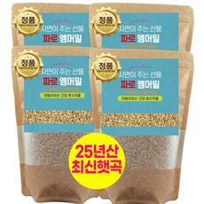 에코홀릭 파로 엠머밀 100% 이탈리아 파로곡물 파로쌀, 4개, 1kg
