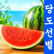 [시원달콤Brix] 착한가성비 못난이 고당도 수박, 1세트, 4kg