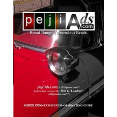 (英文圖書)PejiAds.com: a 13thSquare.com Stakeholder Contract 平裝版, 英文