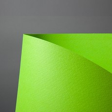 더플랜 A4컬러종이 형광연두 180g 10매 칼라종이