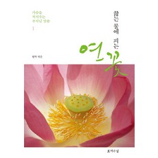 Borisuip 在滾水中綻放的蓮花 1：滋潤心靈的佛陀話語