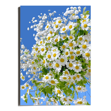 원그리드 DIY 명화그리기 세트 피포페인팅 캔버스 유화그리기, 블루 데이지, 1개