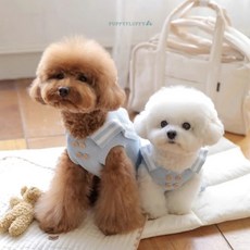 강아지 고양이 세라 니트 티셔츠 / 세라 니트 원피스 / 강아지 고양이, 니트원피스, 1개