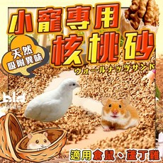 小寵專用核桃砂 小動物墊料 倉鼠墊料 倉鼠核桃砂 蘆丁雞墊料 寵物墊料 核桃殼砂, 1個, 500g