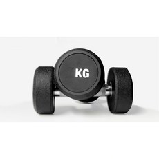 圓頭啞鈴 鑄鐵啞鈴 健身訓練器材 居家健身必備, 1個, 20kg*2支
