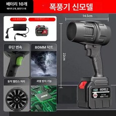 무선 세차용 초강력 청소용 더스트건 먼지제거 장비 터빈, (10칸배터리2개충전기1개) 무단 속도 조절, 1개