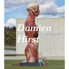 (영문도서) Damien Hirst: The Light That Shines Hardcover, Heni Publishers, English, 9781912122950