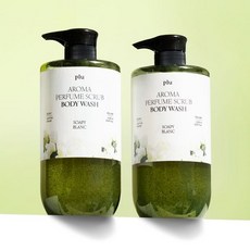 플루 2개 아로마 퍼퓸 스크럽 바디워시 1000ml 소피블랑, 블랙베리, 1L