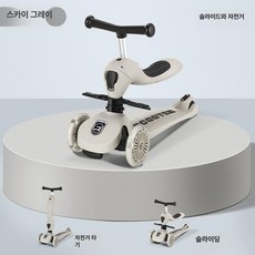 아기 어린이 킥보드 아기킥보드 유아 아동 접이식 씽씽카 부모 푸쉬카 초등 스쿠터, 1개, 스카이그레이 2-in-1+무음 점멸