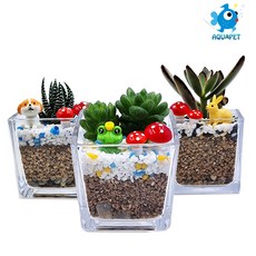 다육이 키우기 사각 8x8(유리/아크릴 선택) A형 테라리움 DIY키트 세트, 빨강, 유리사각, 1개