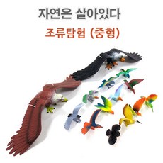 이종욱완구 자연은살아있다 조류탐험 중형, 1개