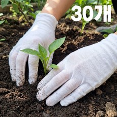 미니갤러리 다용도 얇은 속장갑 흰장갑 면 예식 장갑, 화이트, 30개