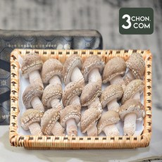 충북 증평에서 자란 무농약 VVIP 송화고 버섯 선물세트, 1박스