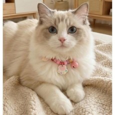 반려동물고양이 목걸이 1+1 강아지 조절가능 귀여운 악세사리, 1개, 딸기 2p