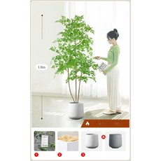 인조 몬스테라 플랜테리어 소품 매장 인테리어 촬영 파초, 1.8m 3줄 난디나+원형