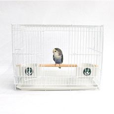 리프패럿 안전 앵보장 400 새장 소형, 화이트, 1개