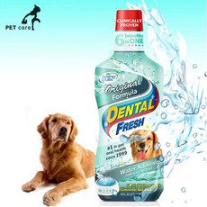 물에 오리지널 타주는 503ml 구강청결 오랄케어 독 76500PC 1(ea), 1개