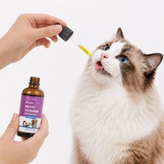 고양이 영양제 고양이 케어샷 고양이 종합영양제 강아지 오메가3 고양이 오메가3 반려동물 영양제 피부와 모질 건강 유지 기호성 좋은 간편 급여, 1개, 60ml