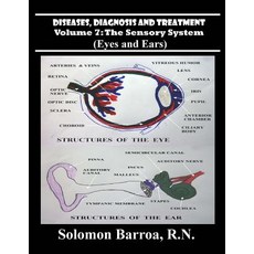 (영문도서) Diseases Diagnosis and Treatment Paperback, Createspace Independent Pub..., English, 9781489542359