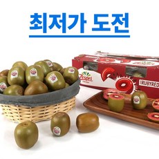 초특가 일등농수산 프리미엄 뉴질랜드 제스프리 레드키위, 1개, 5입 (중과)