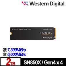 WD威騰 黑標 SN850X 2TB 1TB 無散熱片 NVMe PCIe Gen4 高速固態硬碟, 2TB (無散熱片)