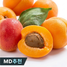 [50박스특가] 고당도선별 달콤쫀득 제철영천 살구, 1박스, 500g (중소과)