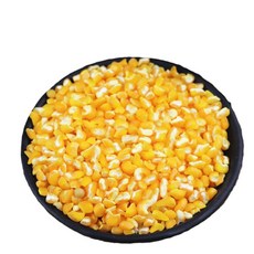 가리봉상회 찰 옥수수쌀 중짜, 1개, 1kg