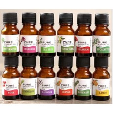 純天然芳香植物香薰精油 水溶性香薰機專用精油 12種香味, 1件, 薄荷