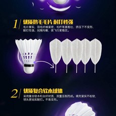 臺灣熱賣 羽毛球耐打王鵝毛打不爛比賽學習學生娛樂訓練鴨毛正品室外羽毛球 ANMI, 2只裝-白色耐打羽毛球, 1個