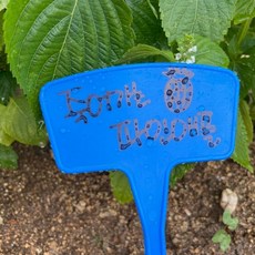 화분 이름표 화단 일자형 27cm 식물 팻말 수목표찰 식물이름표 화분픽 꽃이름표 화분팻말, 없음