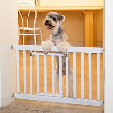 21세기트랜드 마이펫 들랑날랑 안전문 도어형 스타일, 1개