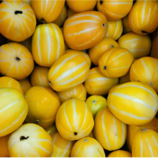 [맘카페대란] 딱100박스 새벽경매 꿀brix 성주참외, 1박스, 3kg