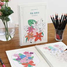 다인1412 성인용 색칠 도안 북 어르신선물