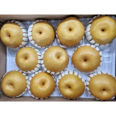 가정용 못난이 신고배 햇배, 1박스, 15kg 14~20과
