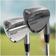 Cleverland RTX 6 ZIPCORE 투어사틴 MID 10스틸 웨지 DG S200, 투어사틴(실버), 48도